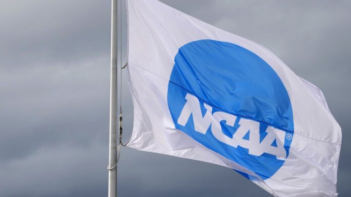 A ex -mulher da NCAA do ano Karenna Groff morre em acidente de avião
