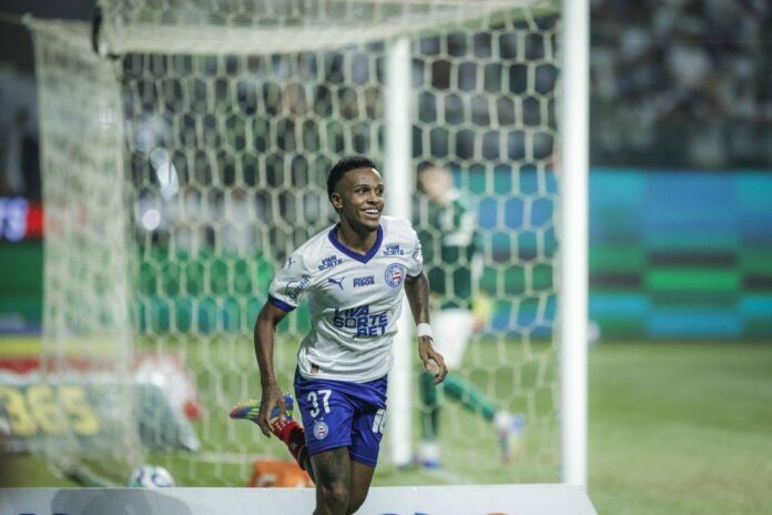 Bahia Enfrenta O Botafogo Pelo Brasileirão E Reencontra O Ex-técnico Renato Paiva